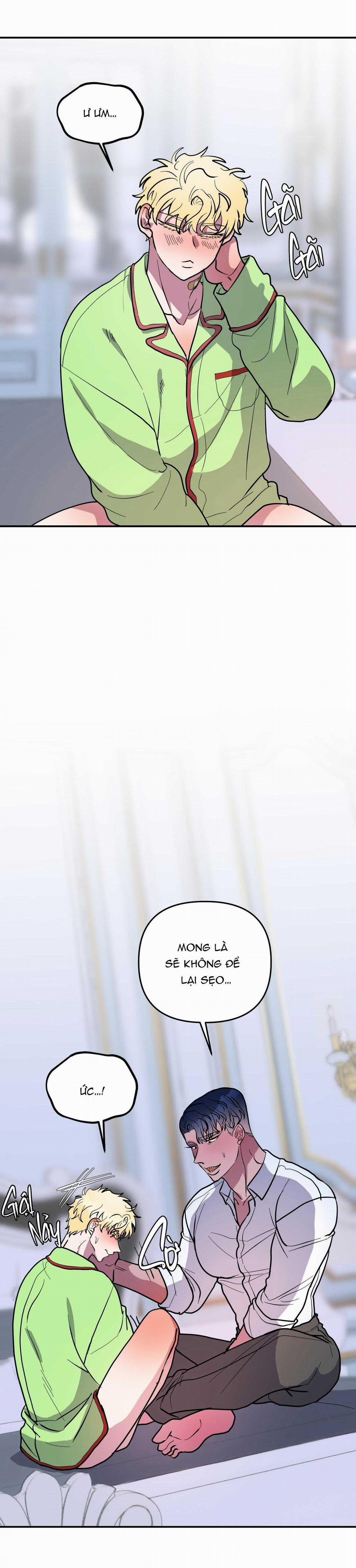 CÁ MẬP VÀ CÔ DÂU THỎ 35 trang 13