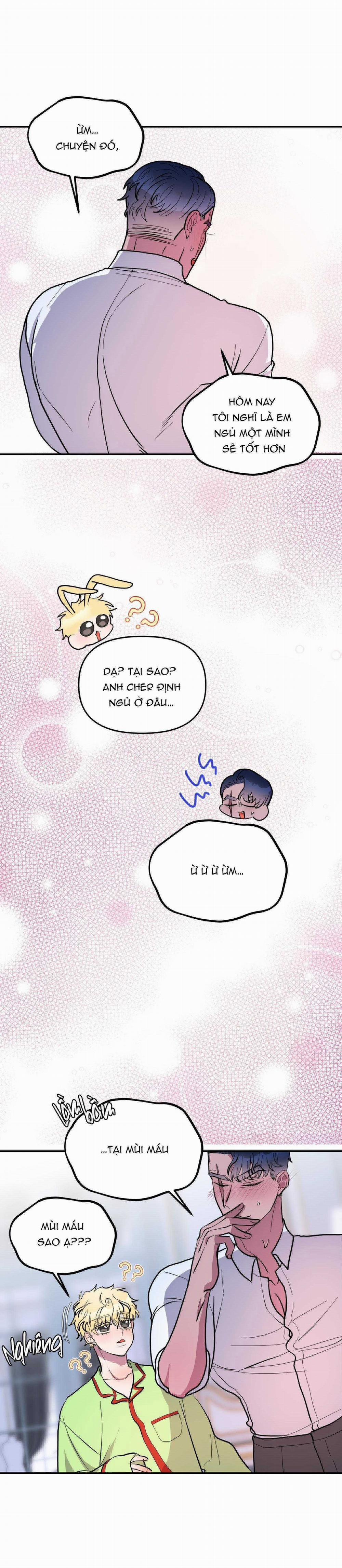 CÁ MẬP VÀ CÔ DÂU THỎ 35 trang 15