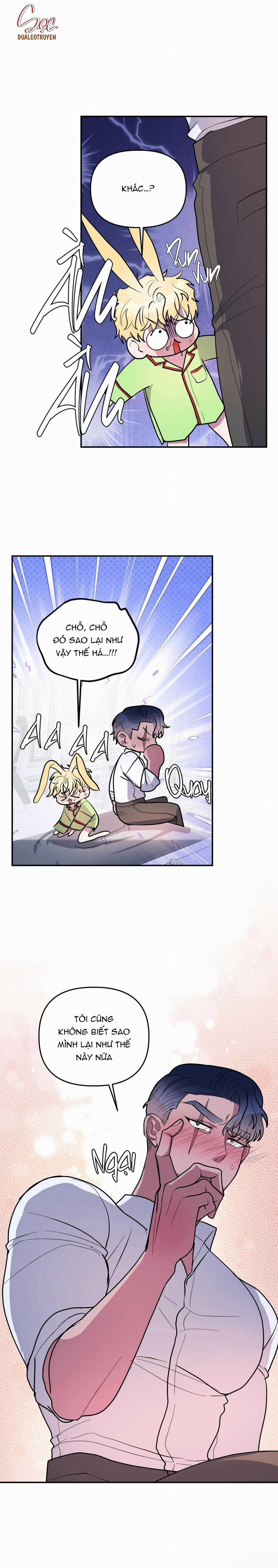 CÁ MẬP VÀ CÔ DÂU THỎ 35 trang 17