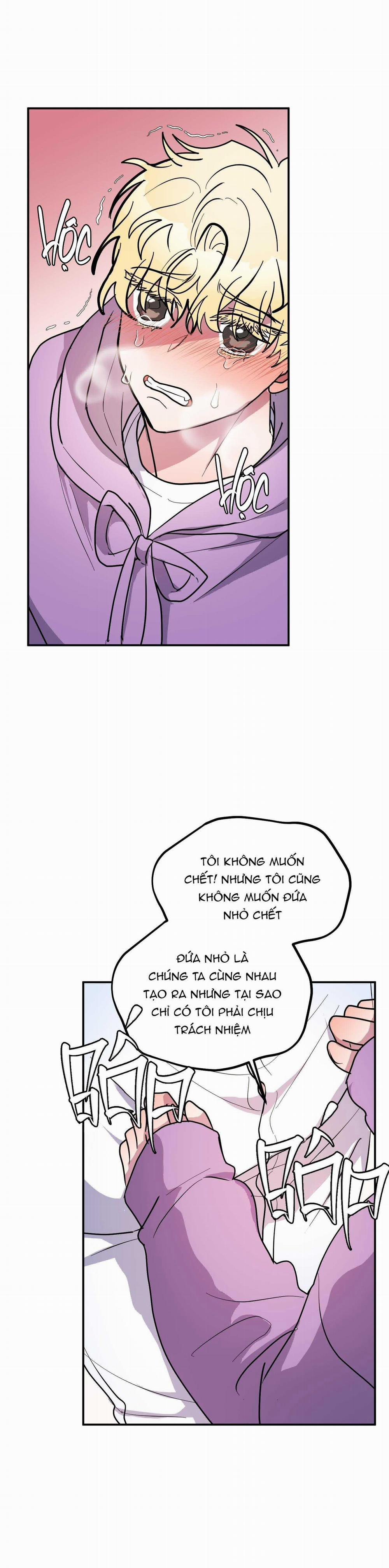 CÁ MẬP VÀ CÔ DÂU THỎ 35 trang 7