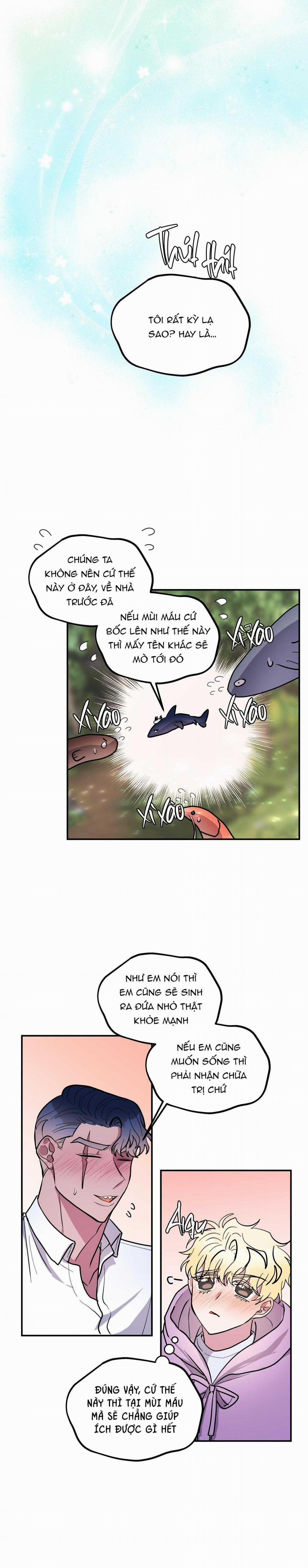 CÁ MẬP VÀ CÔ DÂU THỎ 35 trang 9