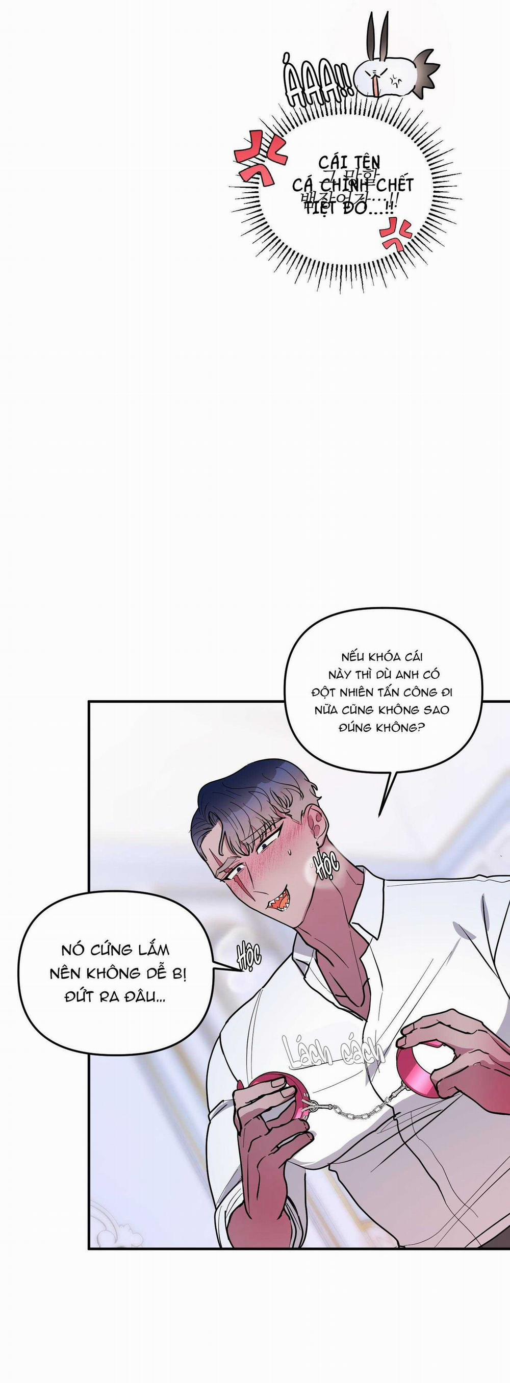 CÁ MẬP VÀ CÔ DÂU THỎ 36 trang 13