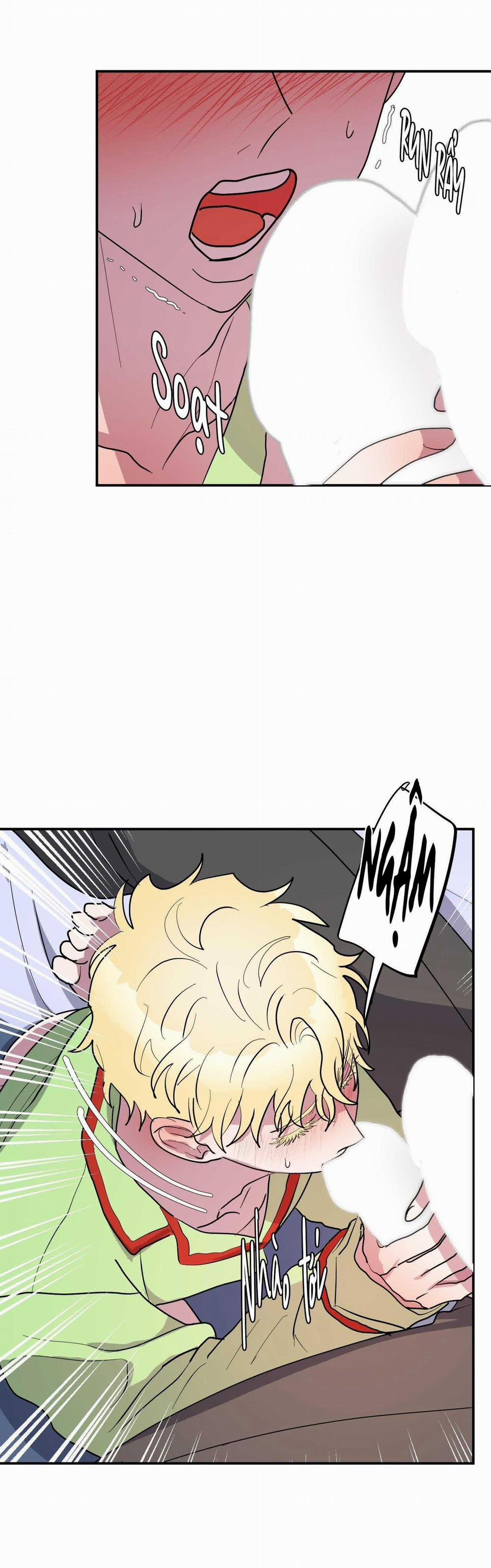 CÁ MẬP VÀ CÔ DÂU THỎ 36 trang 23