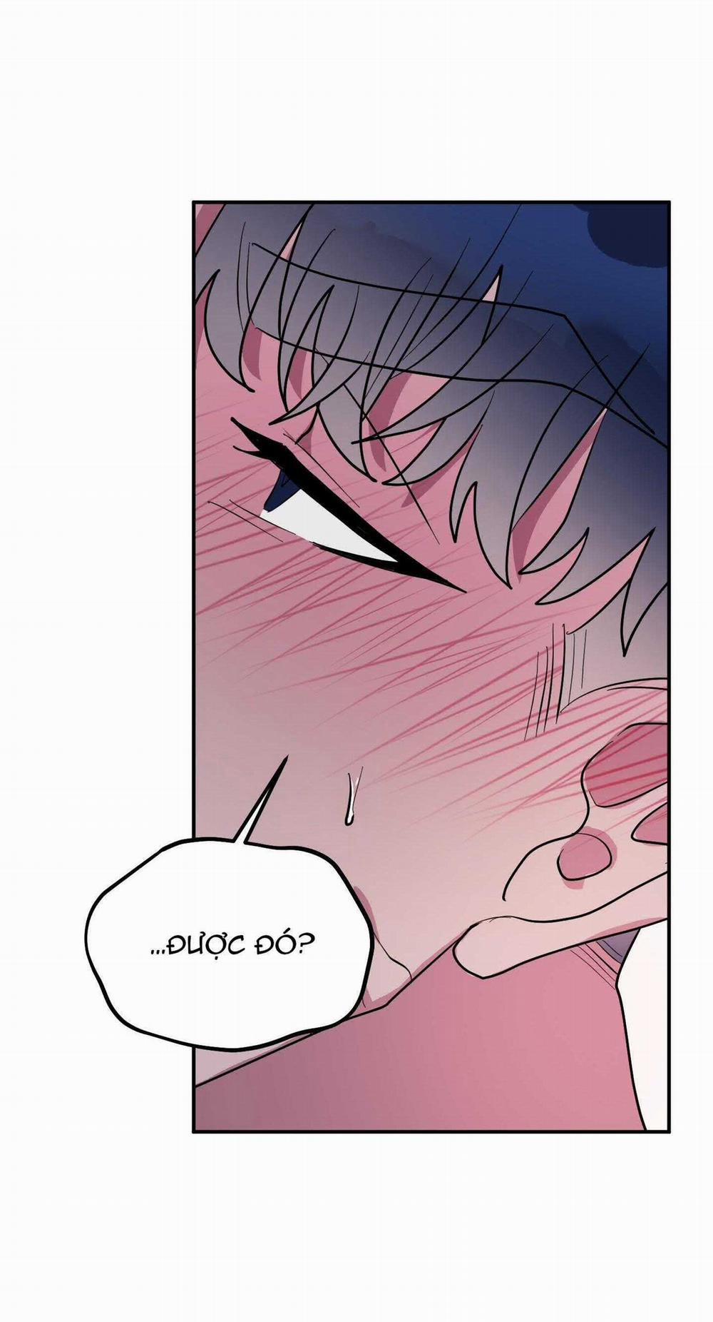 CÁ MẬP VÀ CÔ DÂU THỎ 36 trang 33