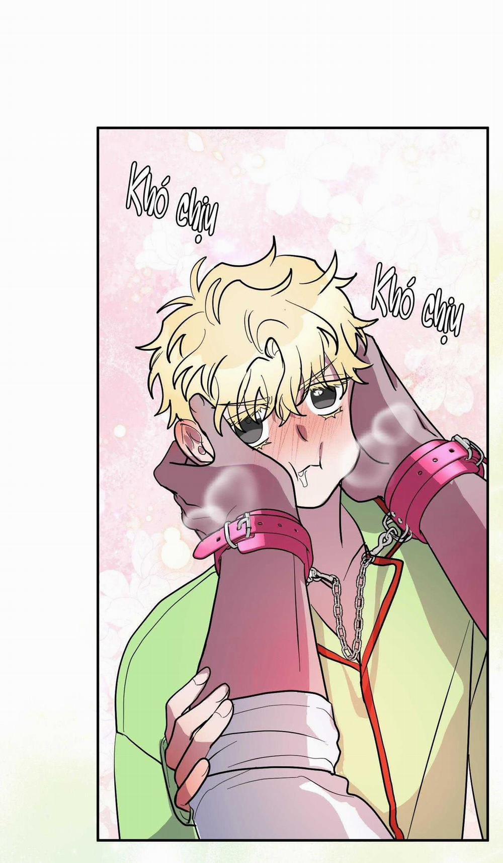 CÁ MẬP VÀ CÔ DÂU THỎ 36 trang 44