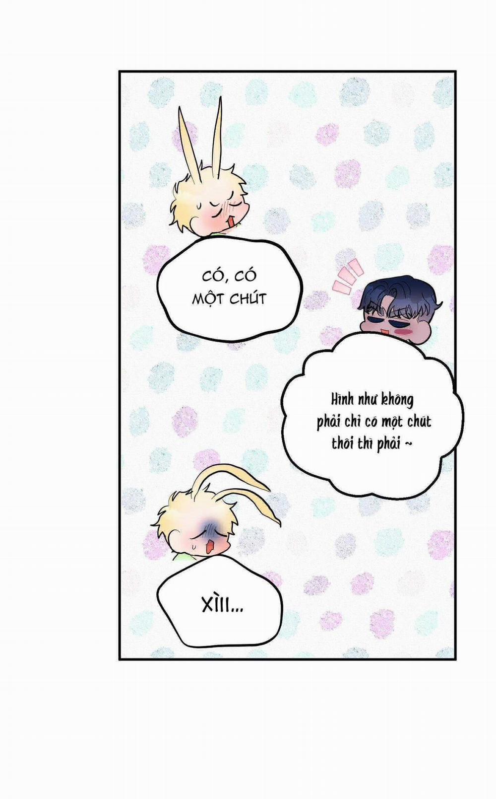 CÁ MẬP VÀ CÔ DÂU THỎ 37 trang 13