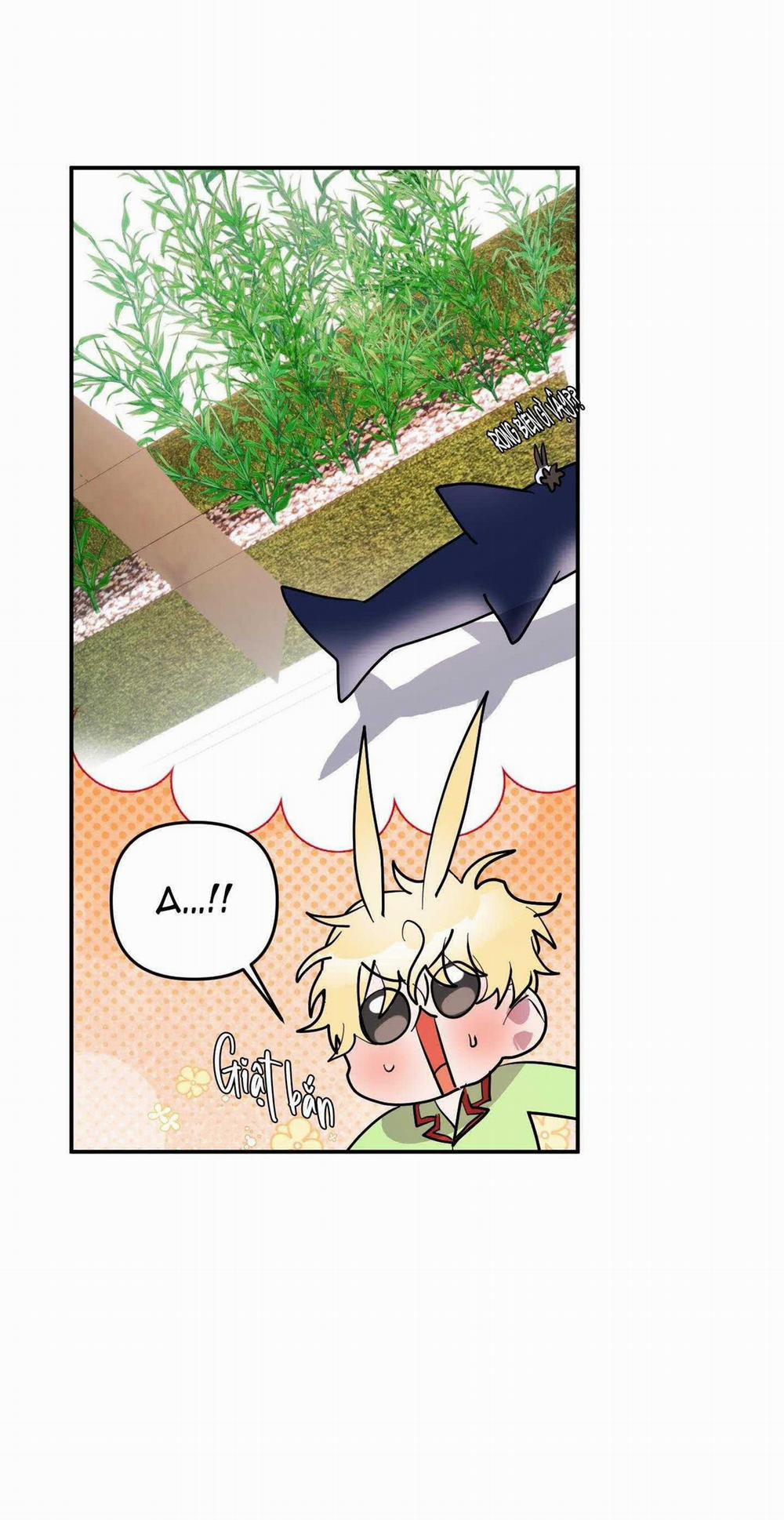 CÁ MẬP VÀ CÔ DÂU THỎ 37 trang 27