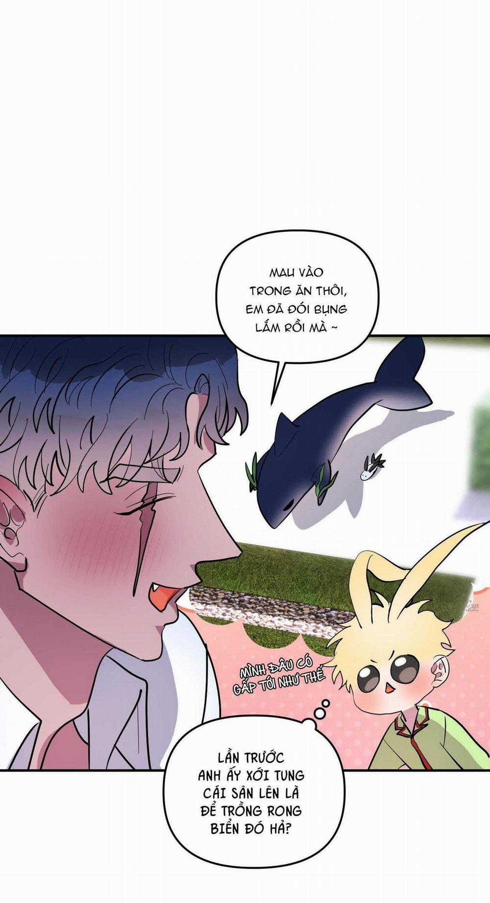 CÁ MẬP VÀ CÔ DÂU THỎ 37 trang 28