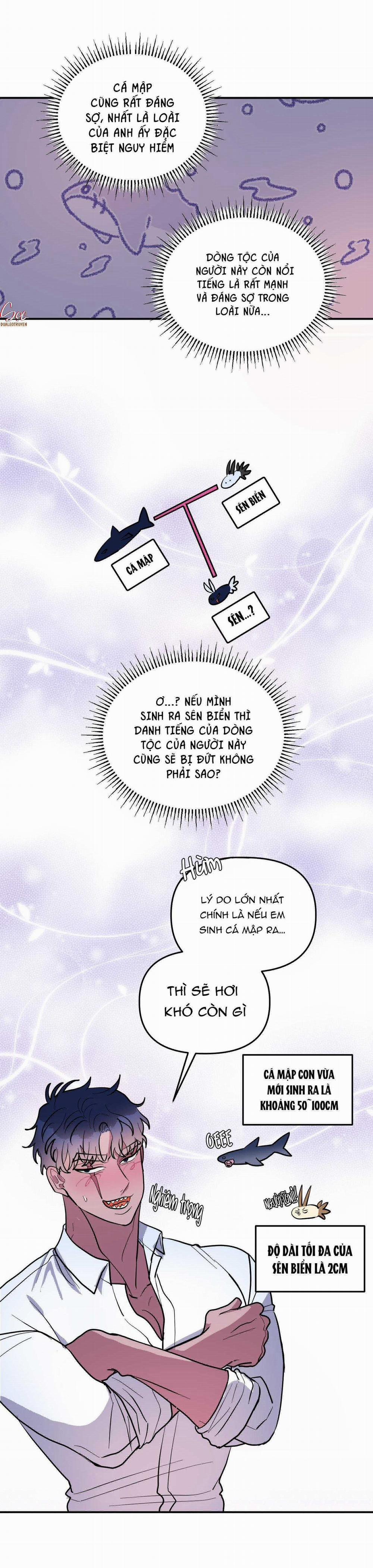 CÁ MẬP VÀ CÔ DÂU THỎ 37 trang 42