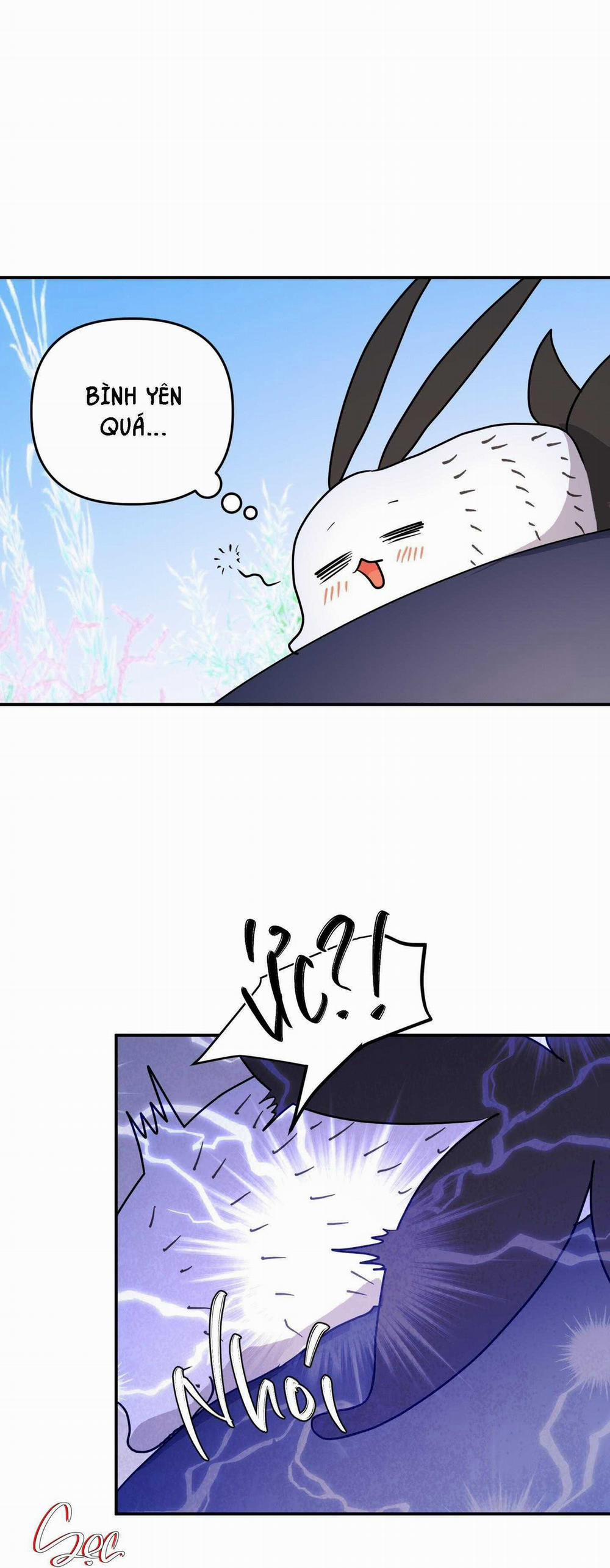 CÁ MẬP VÀ CÔ DÂU THỎ 38 trang 11