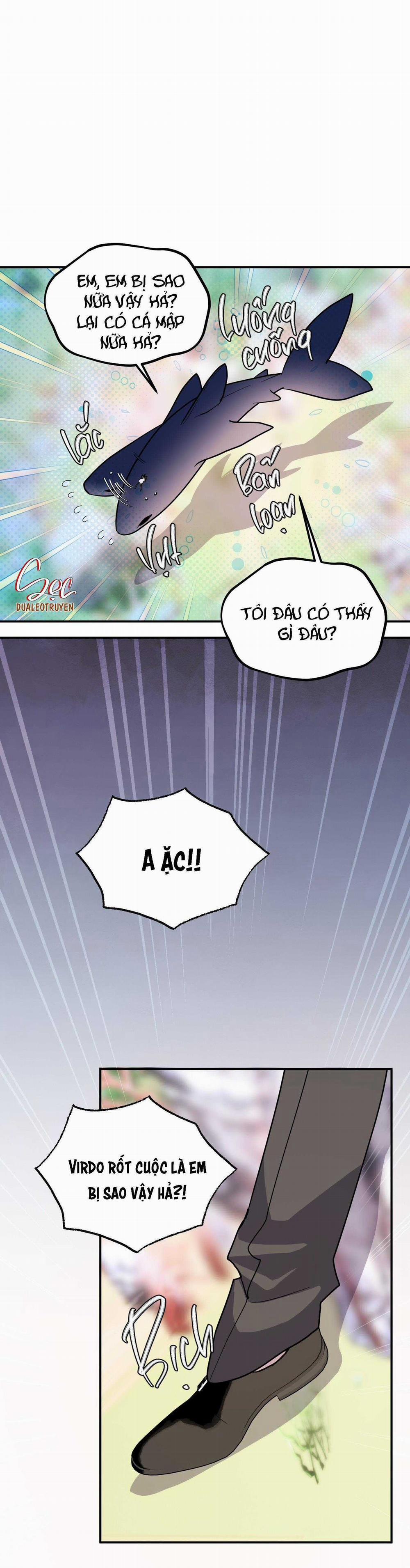 CÁ MẬP VÀ CÔ DÂU THỎ 38 trang 14