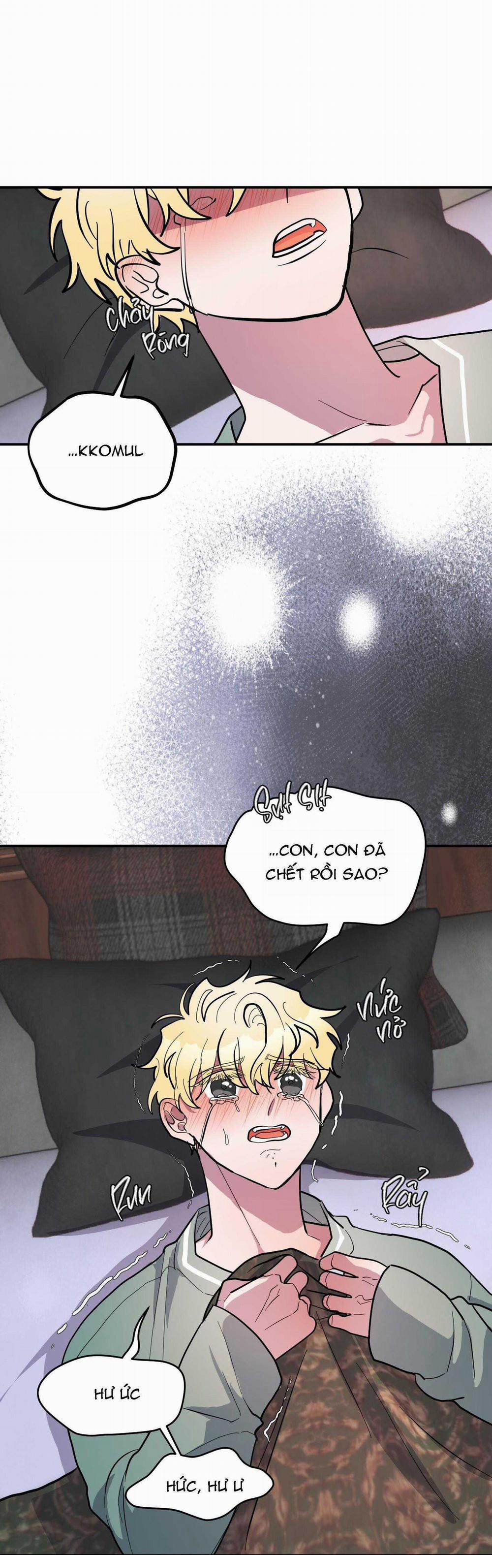 CÁ MẬP VÀ CÔ DÂU THỎ 38 trang 47