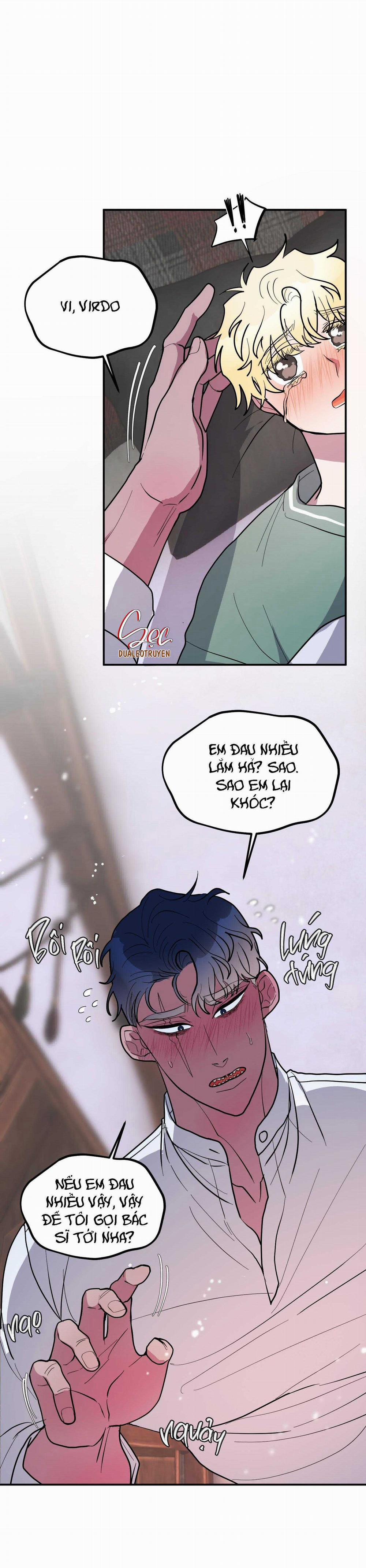 CÁ MẬP VÀ CÔ DÂU THỎ 38 trang 49