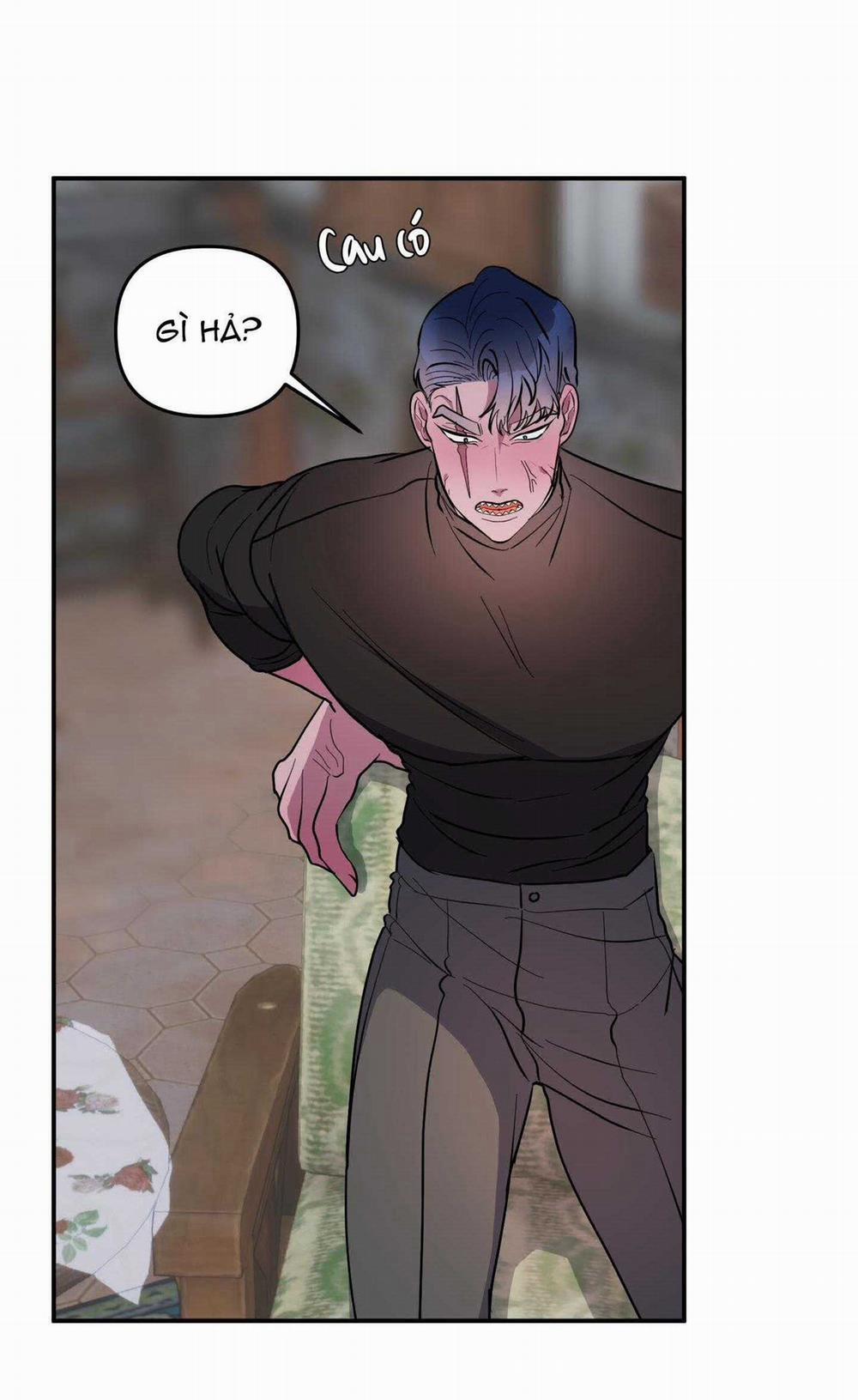 CÁ MẬP VÀ CÔ DÂU THỎ 40 trang 11