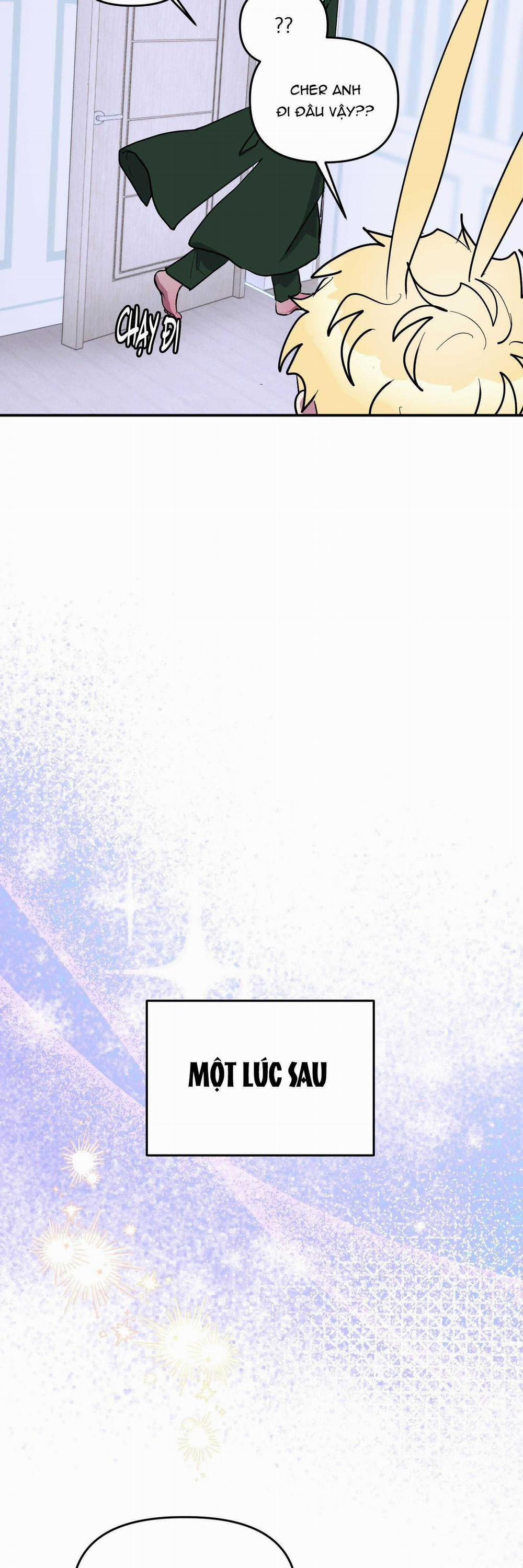 CÁ MẬP VÀ CÔ DÂU THỎ 41 trang 29