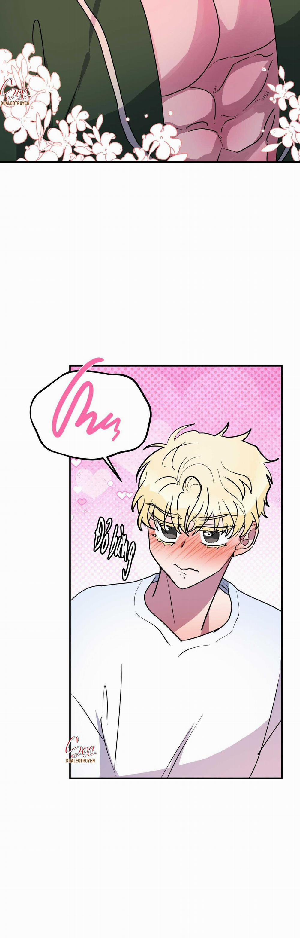 CÁ MẬP VÀ CÔ DÂU THỎ 41 trang 35