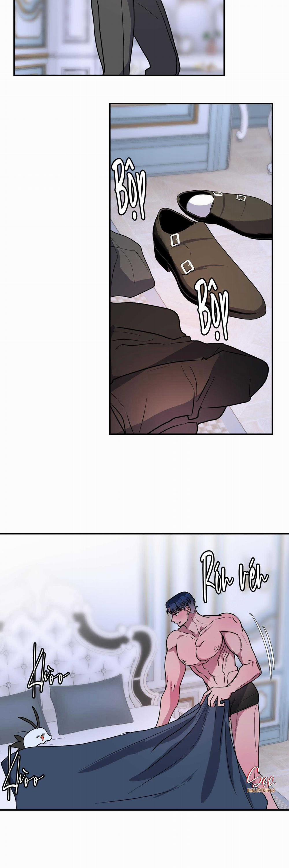 CÁ MẬP VÀ CÔ DÂU THỎ 41 trang 8