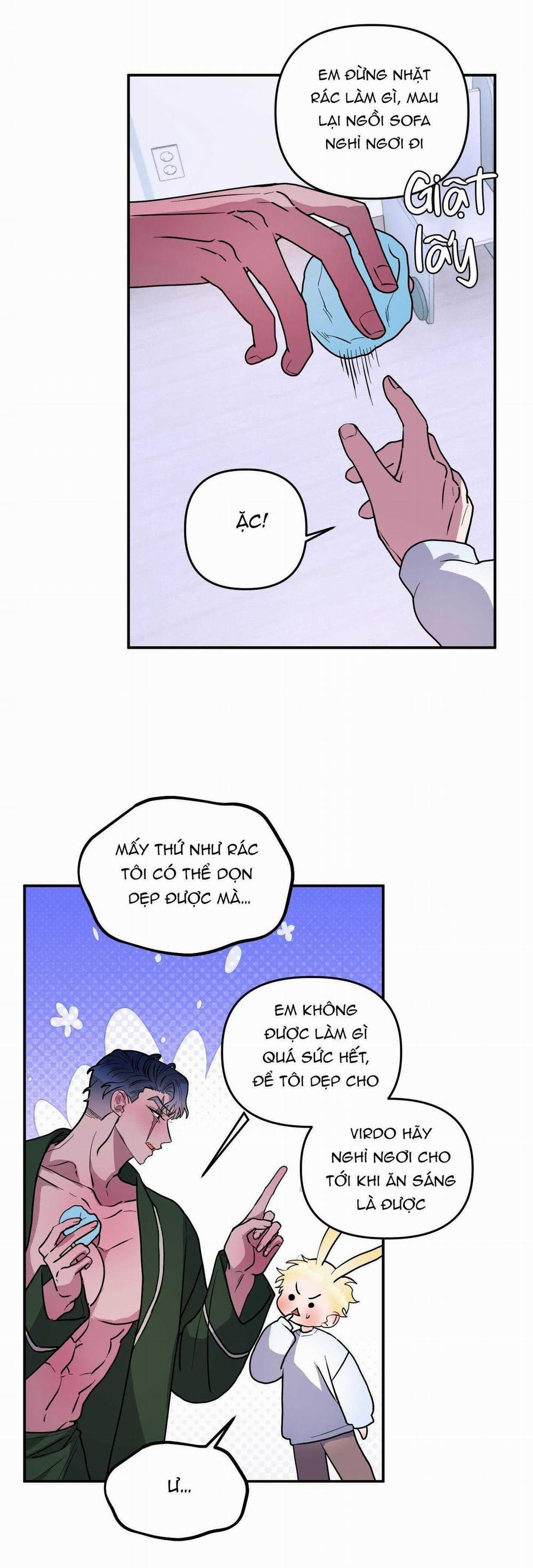 CÁ MẬP VÀ CÔ DÂU THỎ 42 trang 12