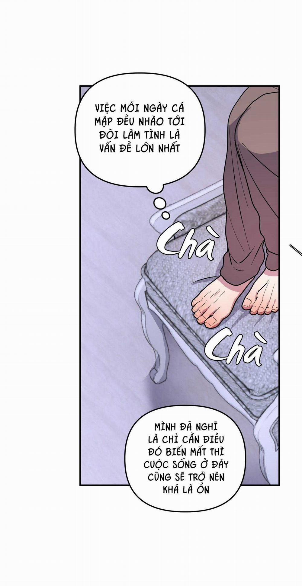 CÁ MẬP VÀ CÔ DÂU THỎ 42 trang 38