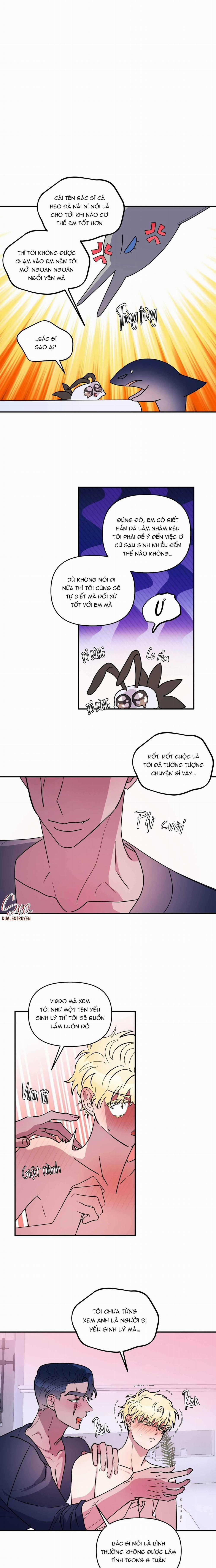 CÁ MẬP VÀ CÔ DÂU THỎ 43 trang 10