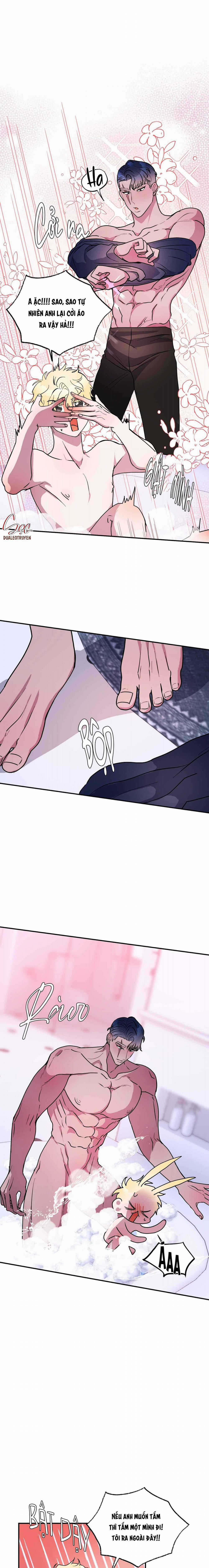 CÁ MẬP VÀ CÔ DÂU THỎ 43 trang 12