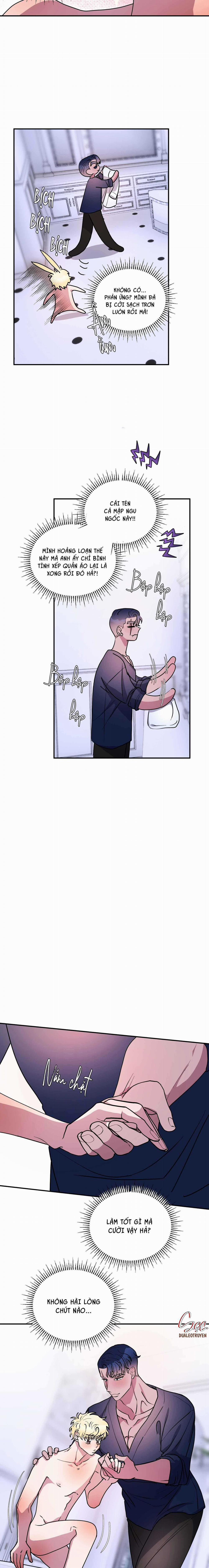 CÁ MẬP VÀ CÔ DÂU THỎ 43 trang 4