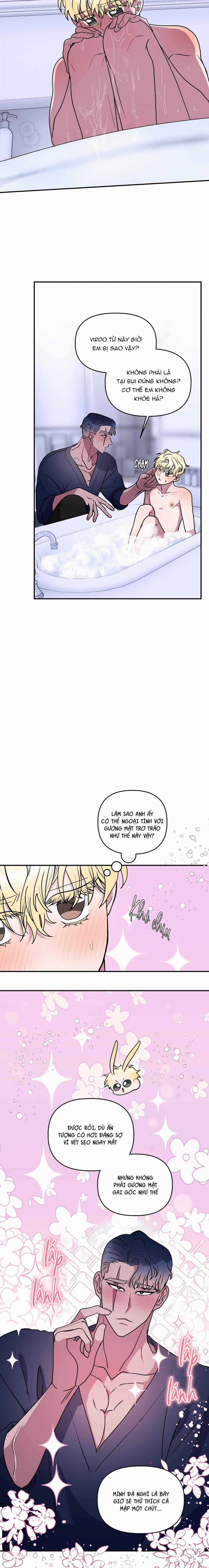 CÁ MẬP VÀ CÔ DÂU THỎ 43 trang 6