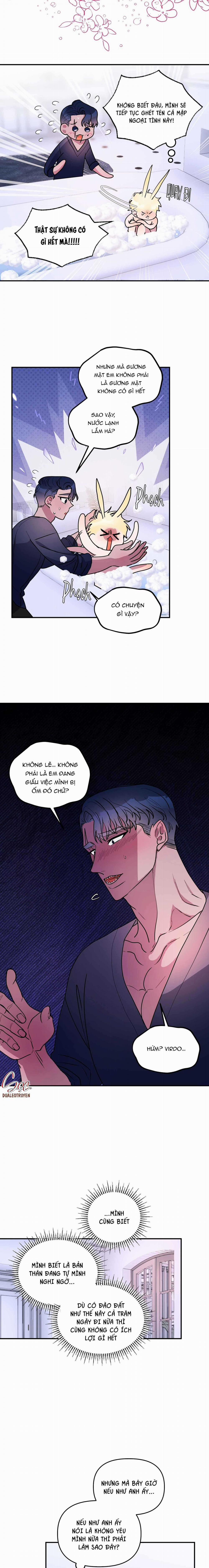 CÁ MẬP VÀ CÔ DÂU THỎ 43 trang 7