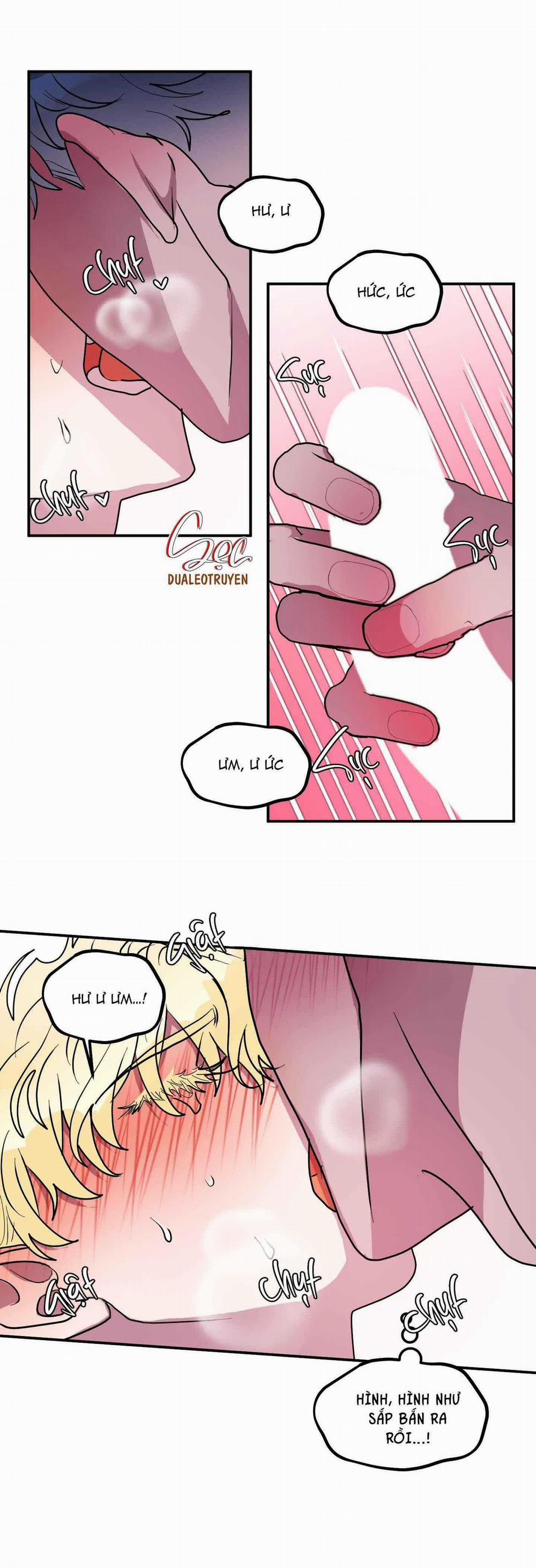 CÁ MẬP VÀ CÔ DÂU THỎ 44 trang 11