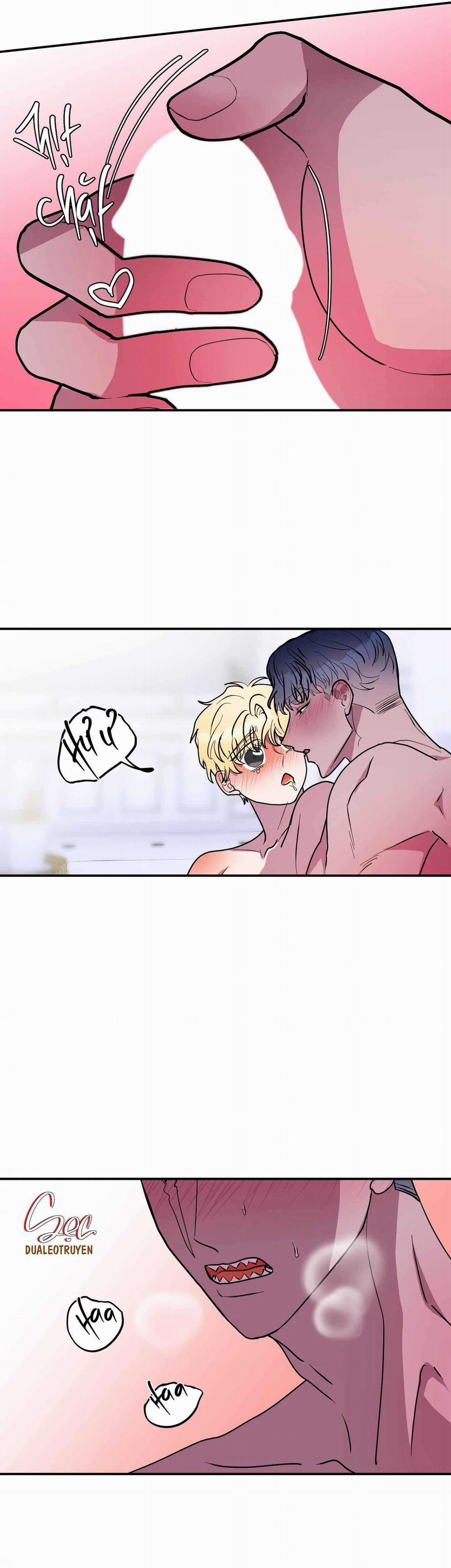 CÁ MẬP VÀ CÔ DÂU THỎ 44 trang 12