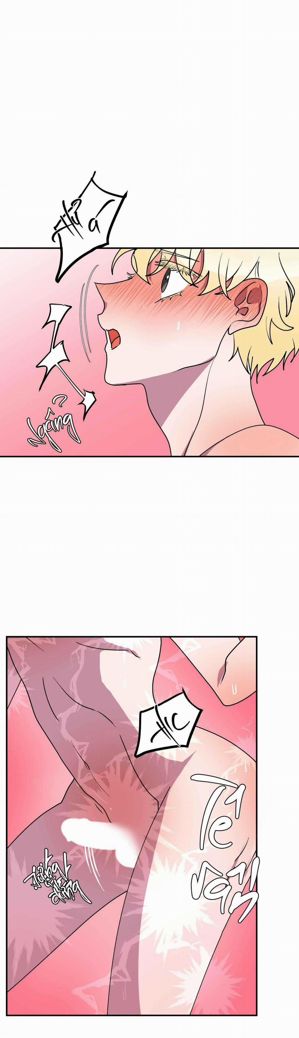 CÁ MẬP VÀ CÔ DÂU THỎ 44 trang 6