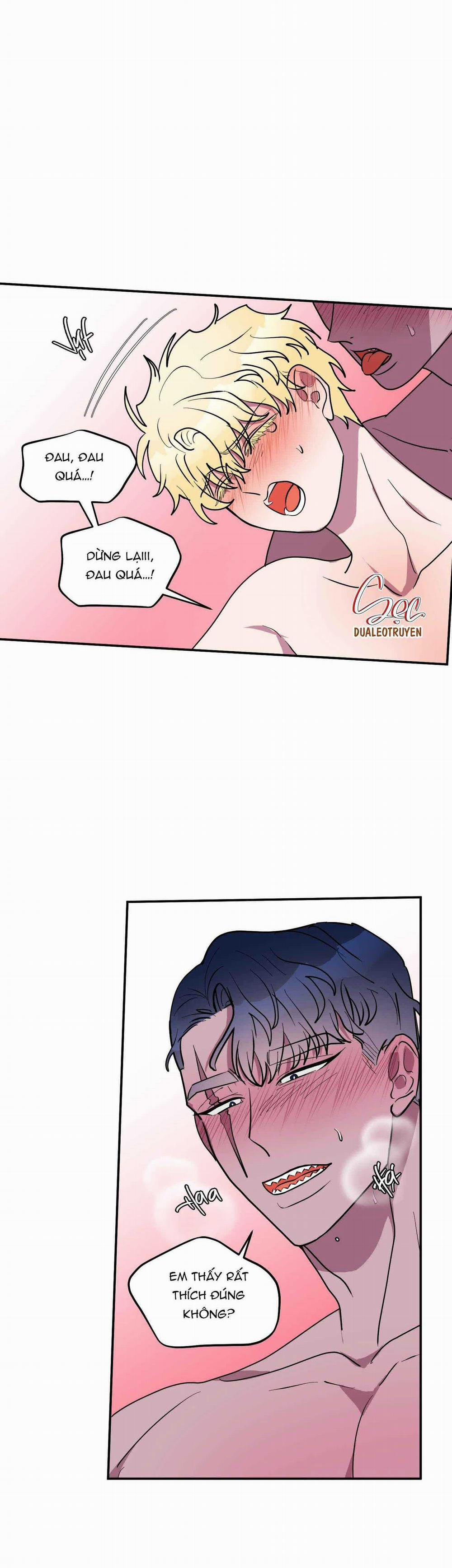 CÁ MẬP VÀ CÔ DÂU THỎ 44 trang 7