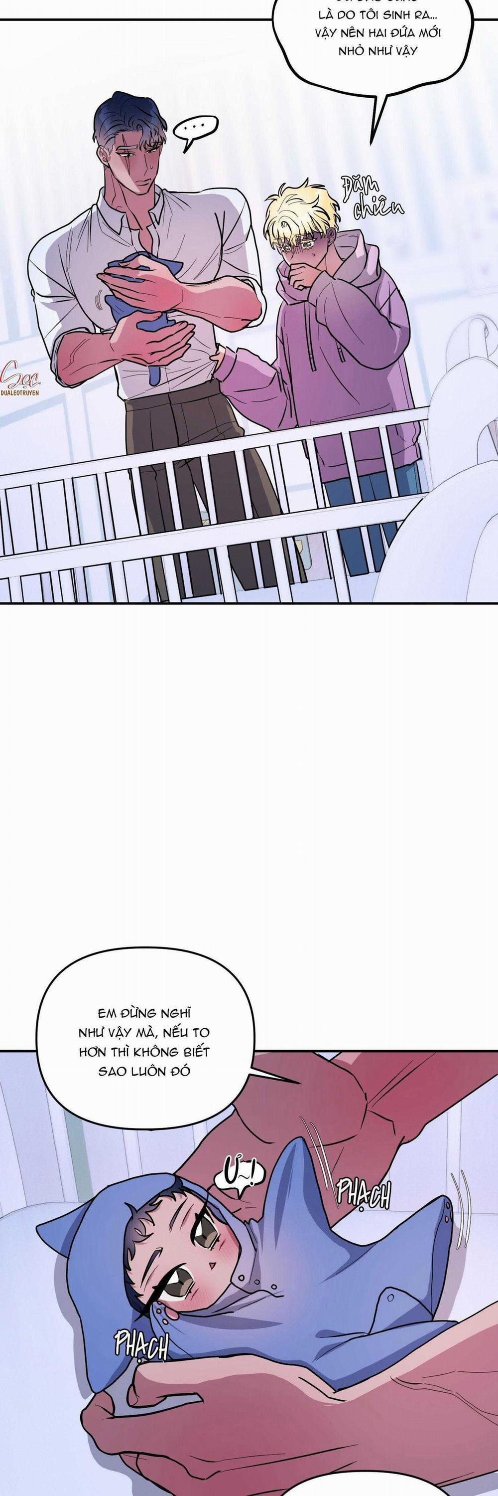 CÁ MẬP VÀ CÔ DÂU THỎ 45 trang 13