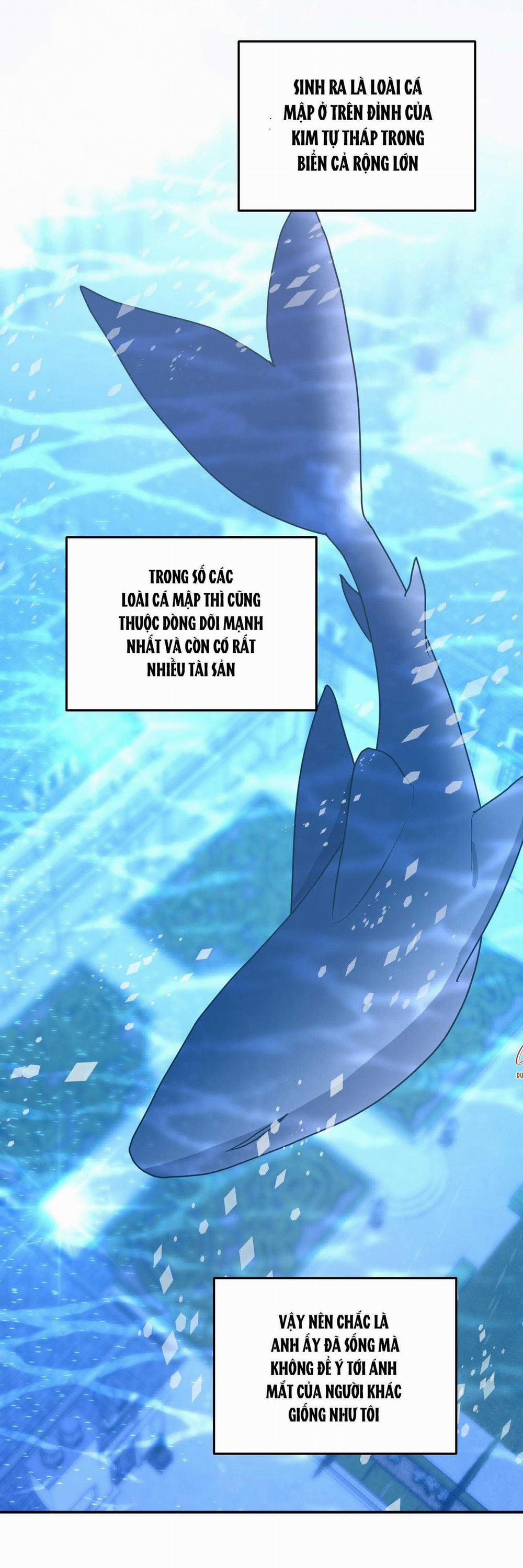 CÁ MẬP VÀ CÔ DÂU THỎ 45 trang 26