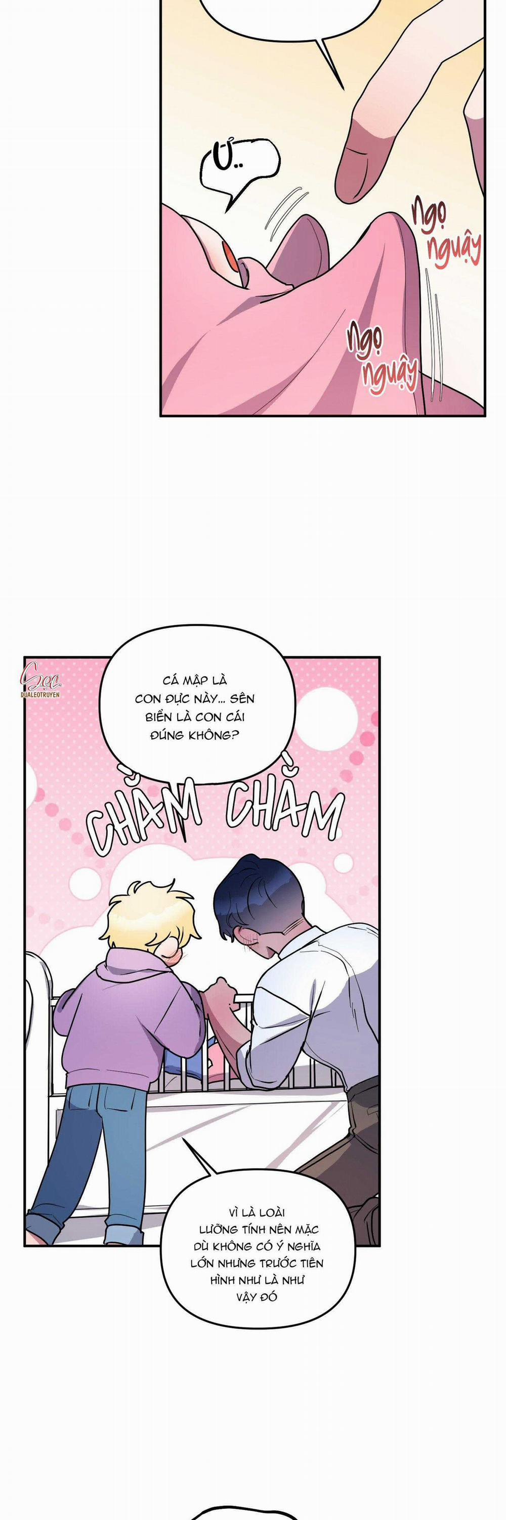 CÁ MẬP VÀ CÔ DÂU THỎ 45 trang 7