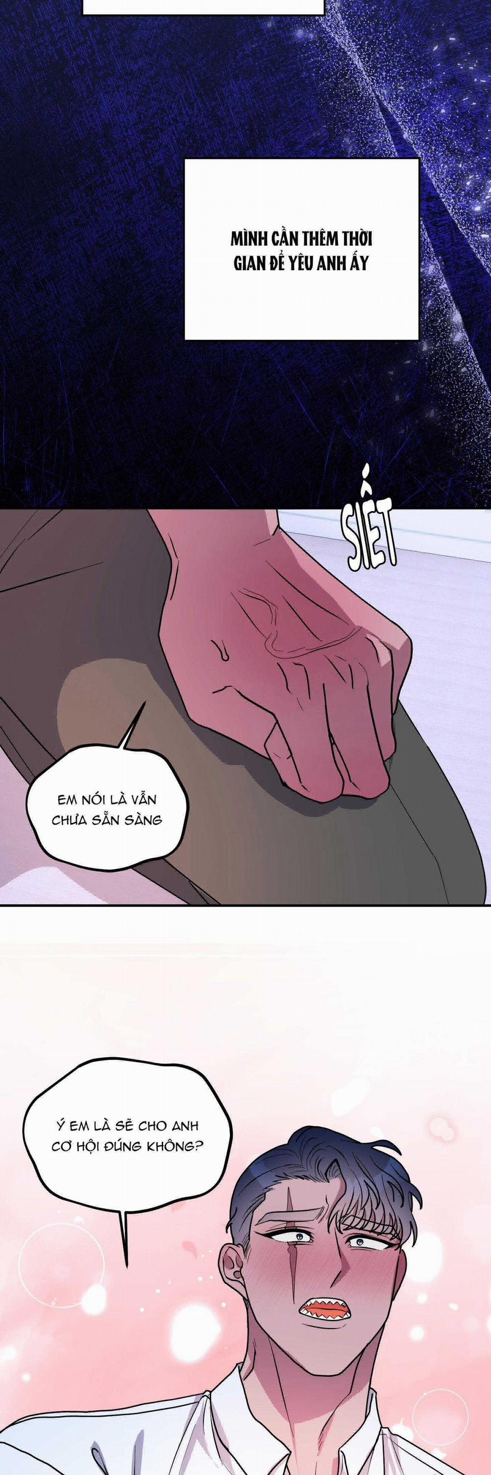 CÁ MẬP VÀ CÔ DÂU THỎ 46 trang 10