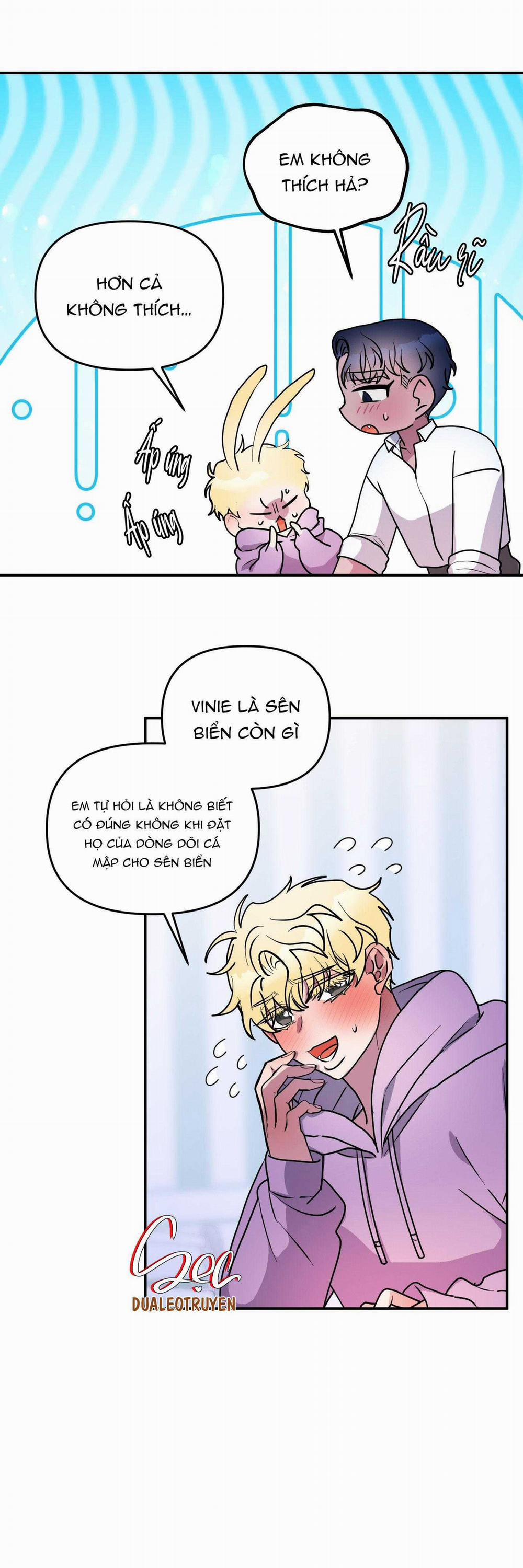 CÁ MẬP VÀ CÔ DÂU THỎ 46 trang 19