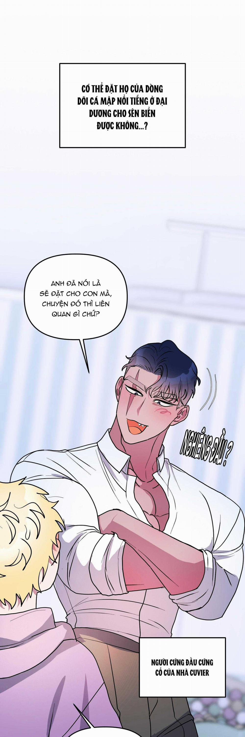 CÁ MẬP VÀ CÔ DÂU THỎ 46 trang 20