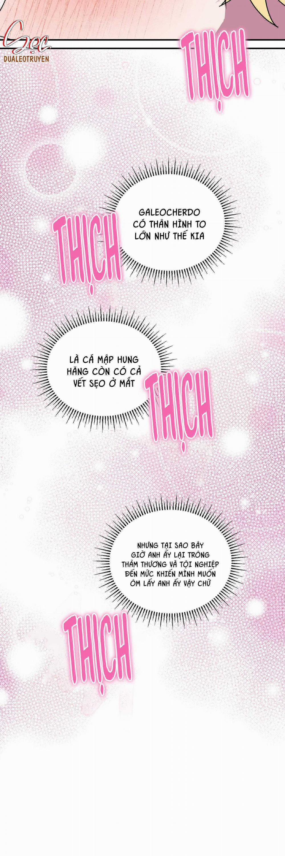 CÁ MẬP VÀ CÔ DÂU THỎ 46 trang 6