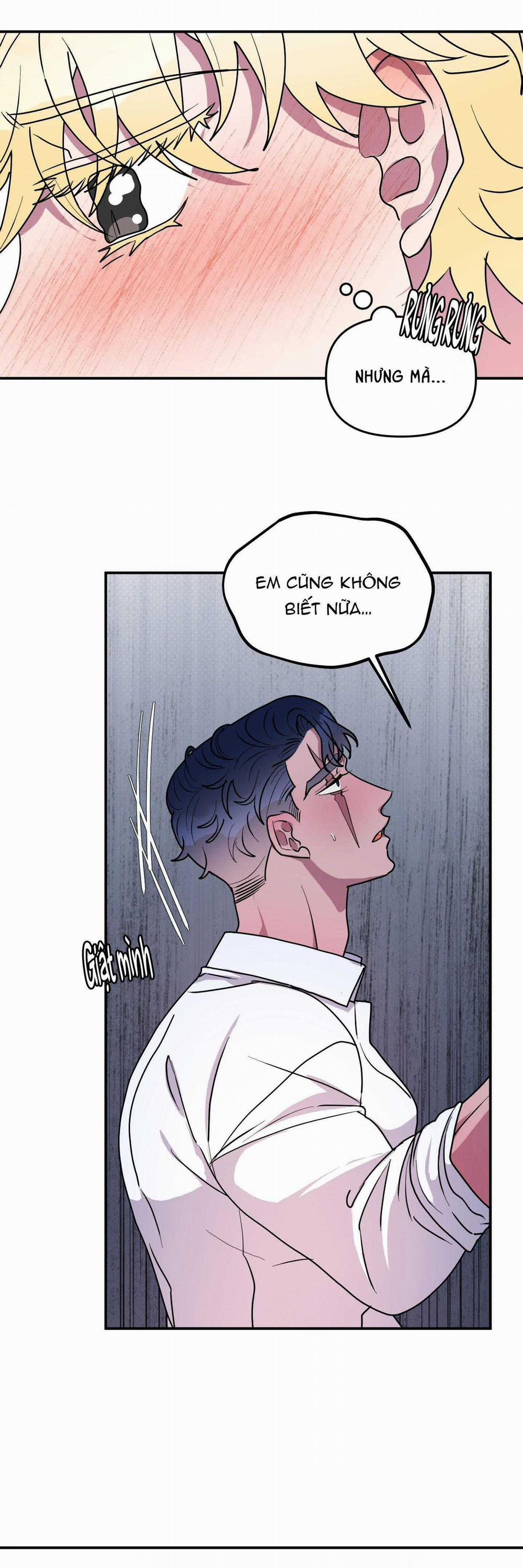 CÁ MẬP VÀ CÔ DÂU THỎ 46 trang 7