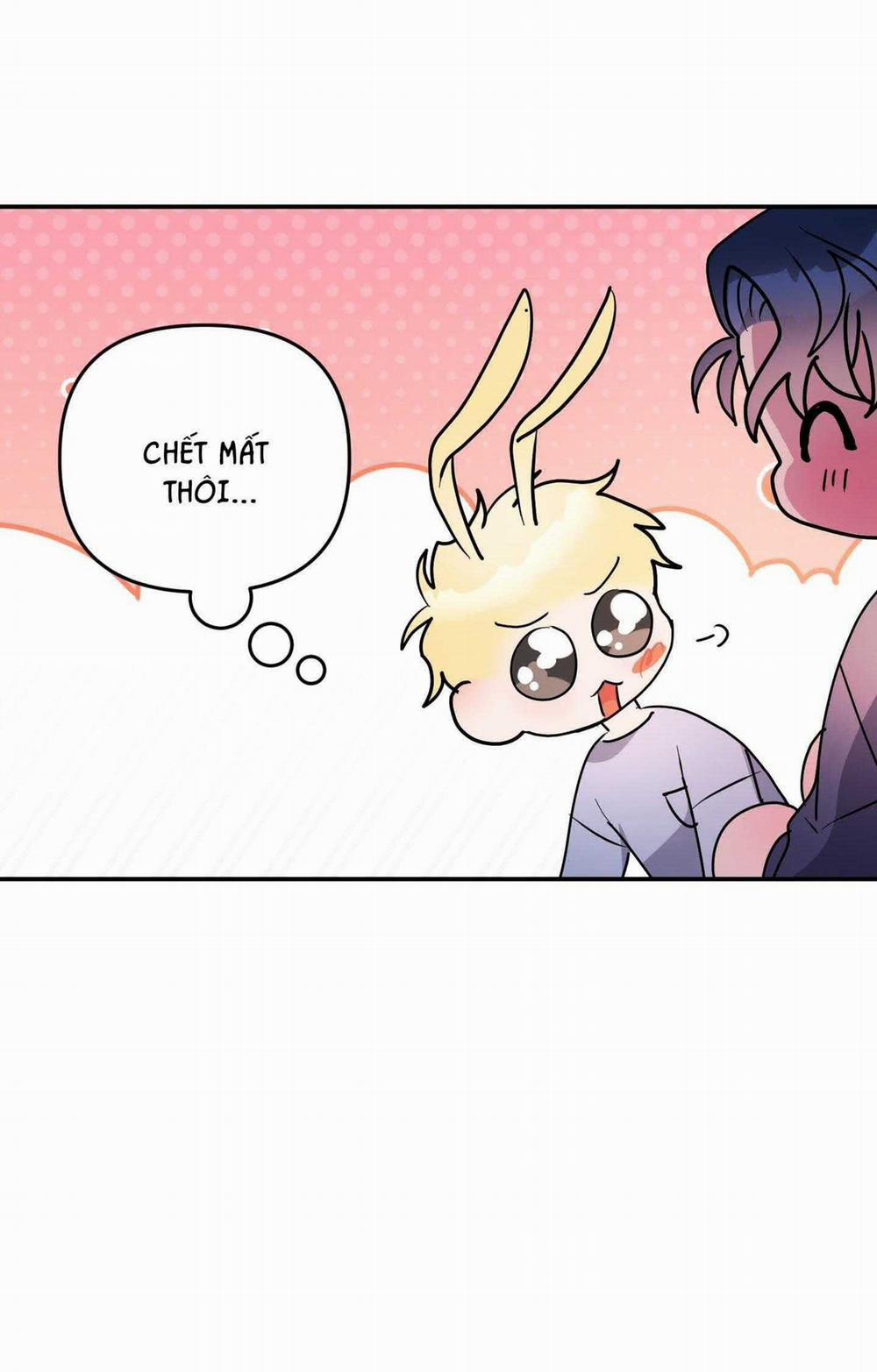 CÁ MẬP VÀ CÔ DÂU THỎ 48 trang 31