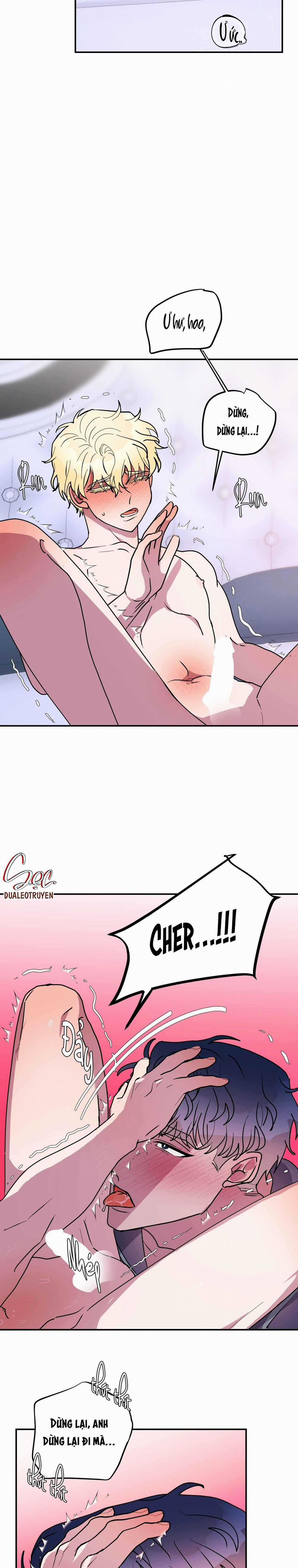 CÁ MẬP VÀ CÔ DÂU THỎ 49 trang 15