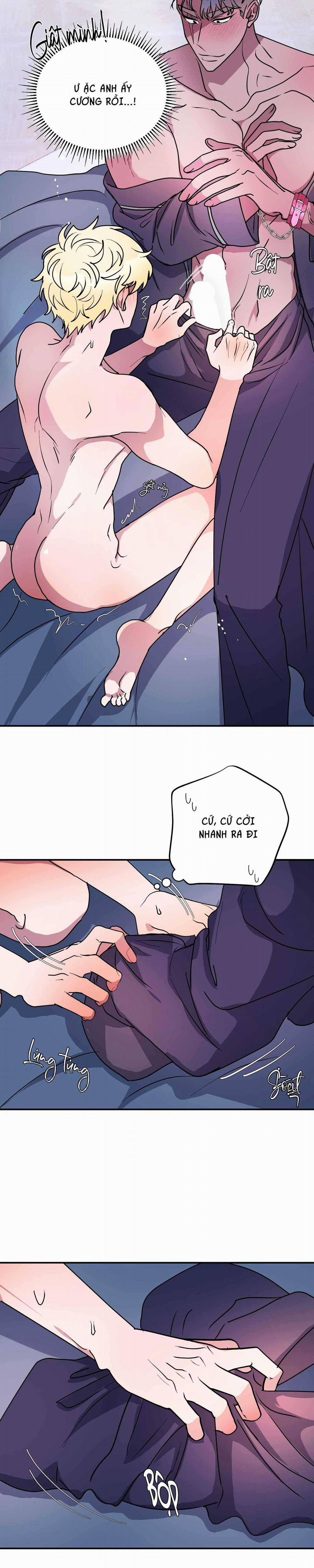 CÁ MẬP VÀ CÔ DÂU THỎ 49 trang 3