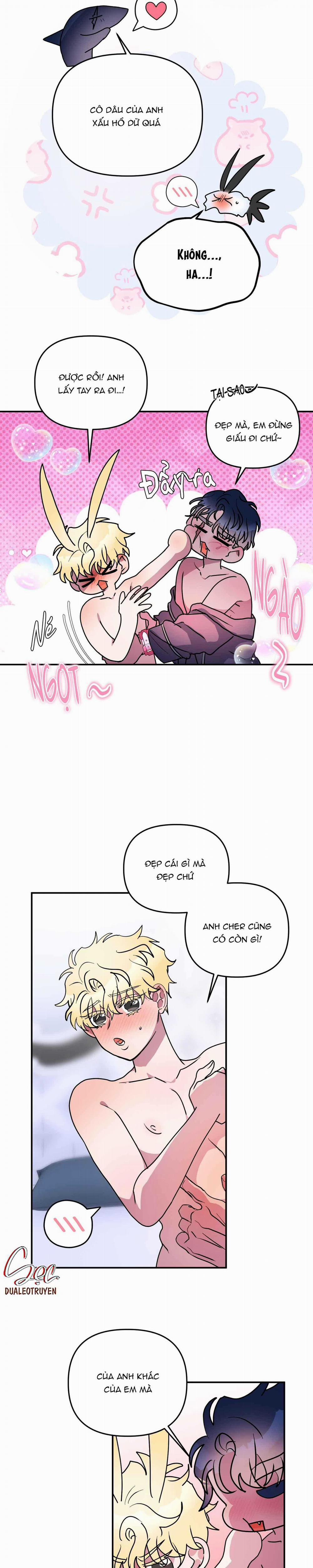 CÁ MẬP VÀ CÔ DÂU THỎ 49 trang 5