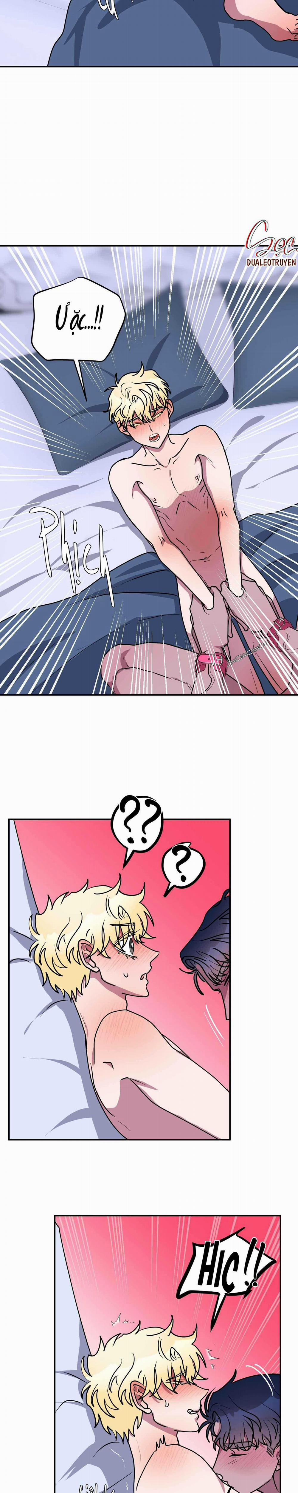 CÁ MẬP VÀ CÔ DÂU THỎ 49 trang 7