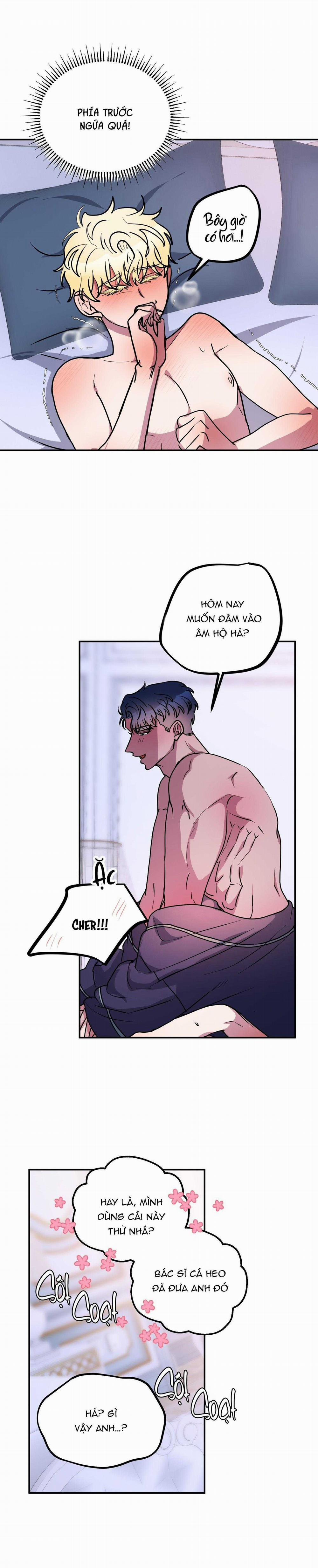 CÁ MẬP VÀ CÔ DÂU THỎ 50 trang 10