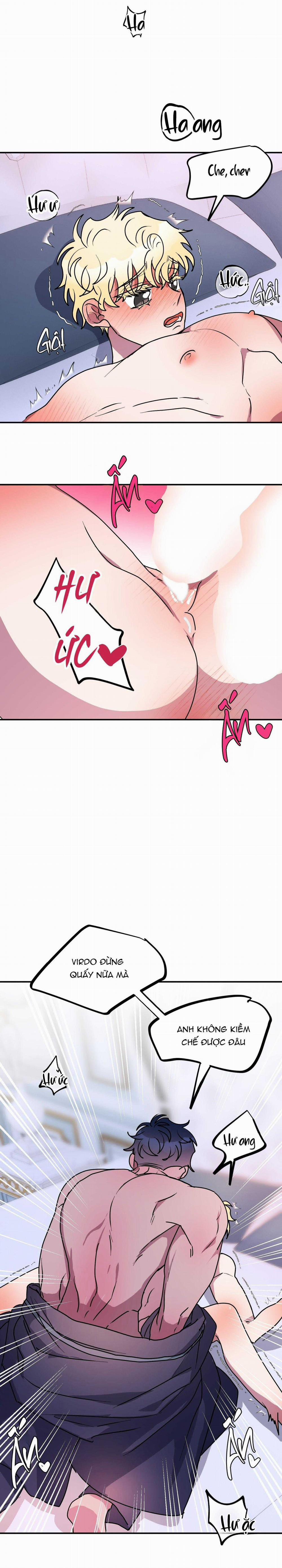 CÁ MẬP VÀ CÔ DÂU THỎ 50 trang 17