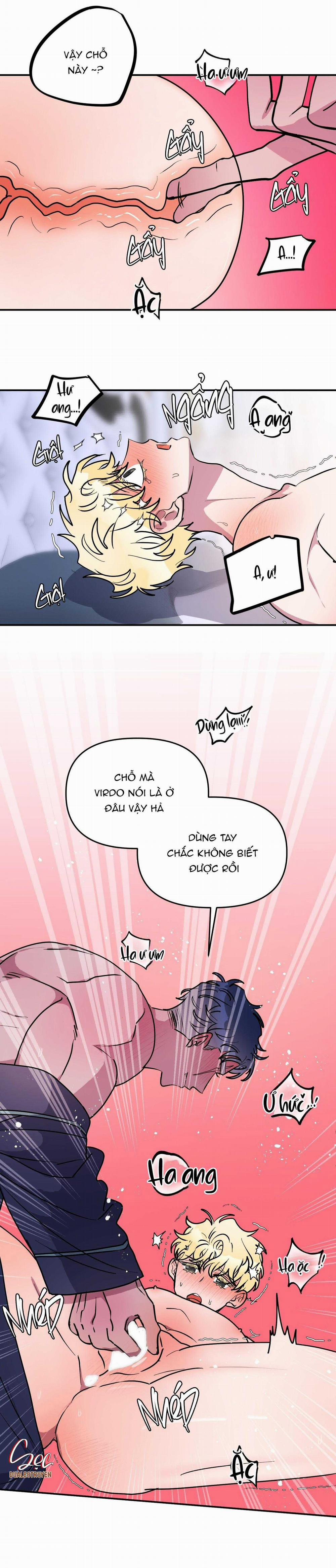 CÁ MẬP VÀ CÔ DÂU THỎ 50 trang 2