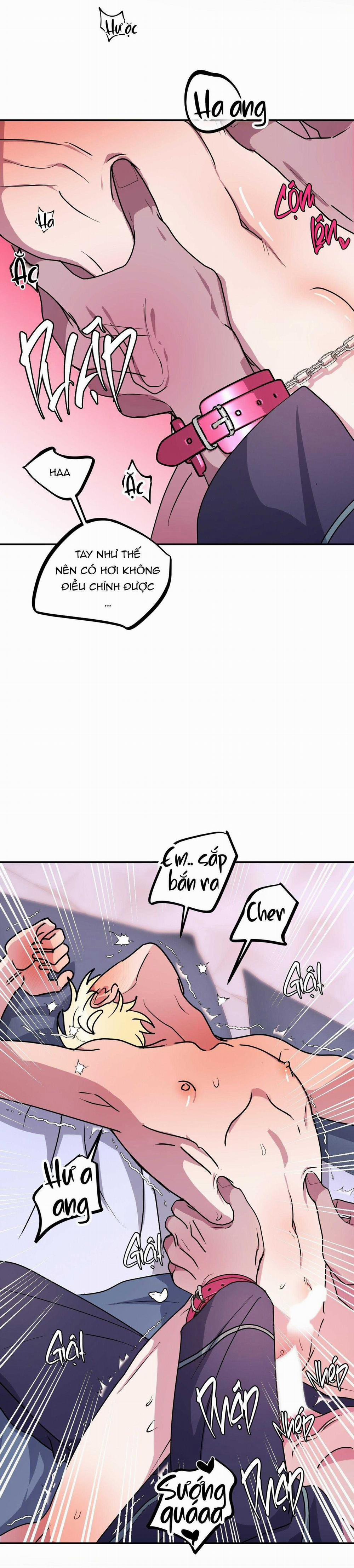 CÁ MẬP VÀ CÔ DÂU THỎ 50 trang 20