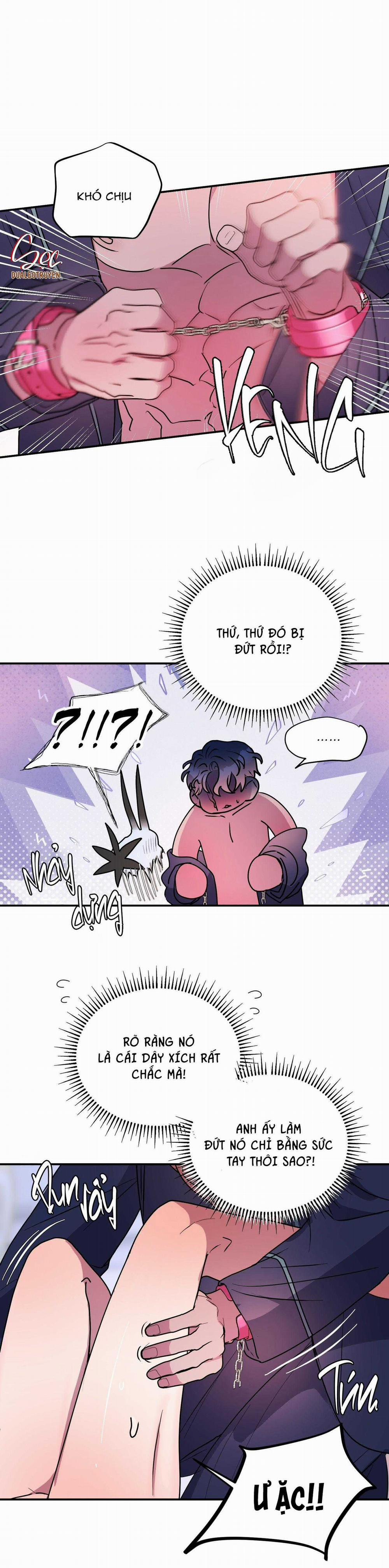 CÁ MẬP VÀ CÔ DÂU THỎ 50 trang 22